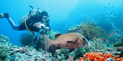 Plongee sous-marine a Bali