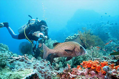 Plongee sous-marine a Bali