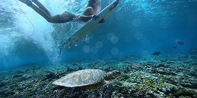 surfer à Bali surfer à Bali